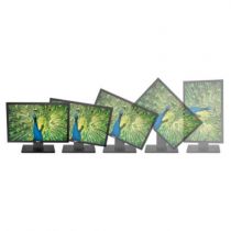 Dell P2210f 22 Zoll 1680x1050 Monitor 