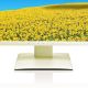 Fujitsu P27T-7 LED 27 Zoll 16:9 Monitor B-Ware vergilbt
