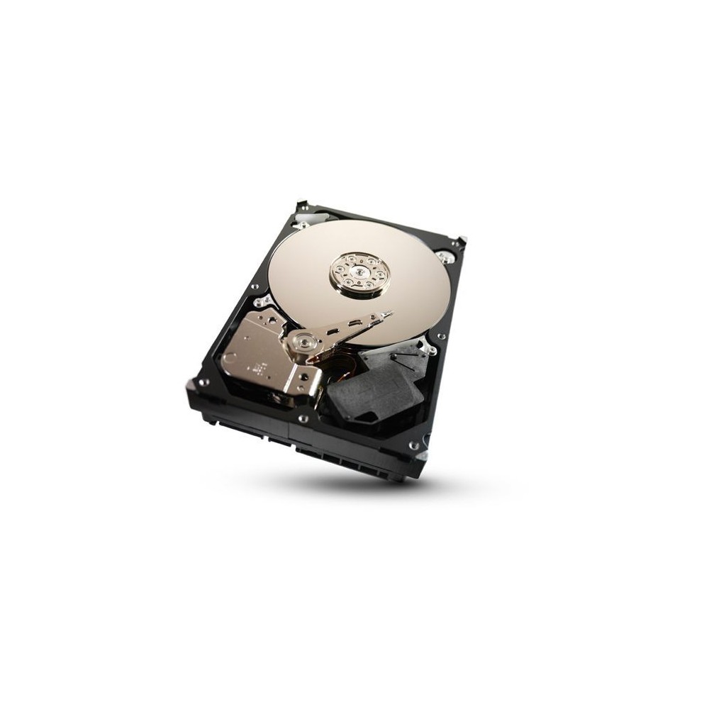 Seagate Barracuda 7200.12 250GB HDD (Hard Disk Drive) 250GB 3,5 Zoll SATA I 1.5Gb/s