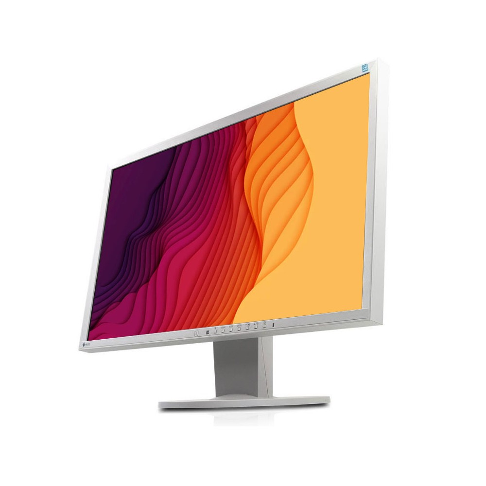 EIZO EV2336W 23 Zoll A-Ware 1920x1080 Full HD DVI DP Lichtgrau,Monitor,Bildschirm