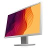 EIZO EV2336W 23 Zoll A-Ware 1920x1080 Full HD DVI DisplayPort Grau Monitor Bildschirm