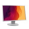 EIZO EV2336W 23 Zoll A-Ware 1920x1080 Full HD DVI DisplayPort Grau Monitor Bildschirm