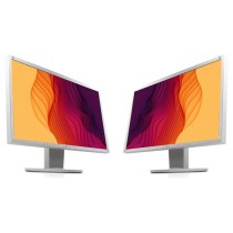 Doppelpack 2x EIZO EV2336W...