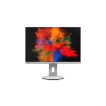 Fujitsu Displays B2410 WE...